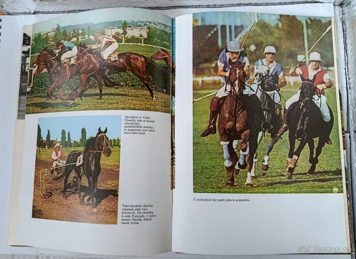 Jezdectví a dostihový sport - 4