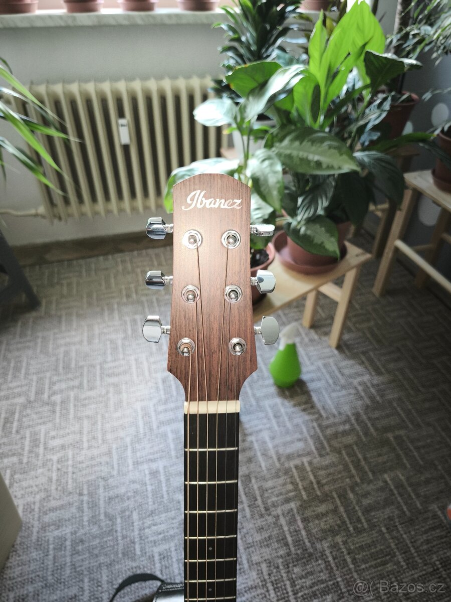 Ibanez AAMC50 - 4