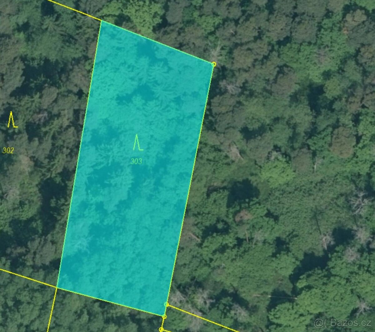 Prodám lesní pozemky v k.ú. Chvalešovice - 4