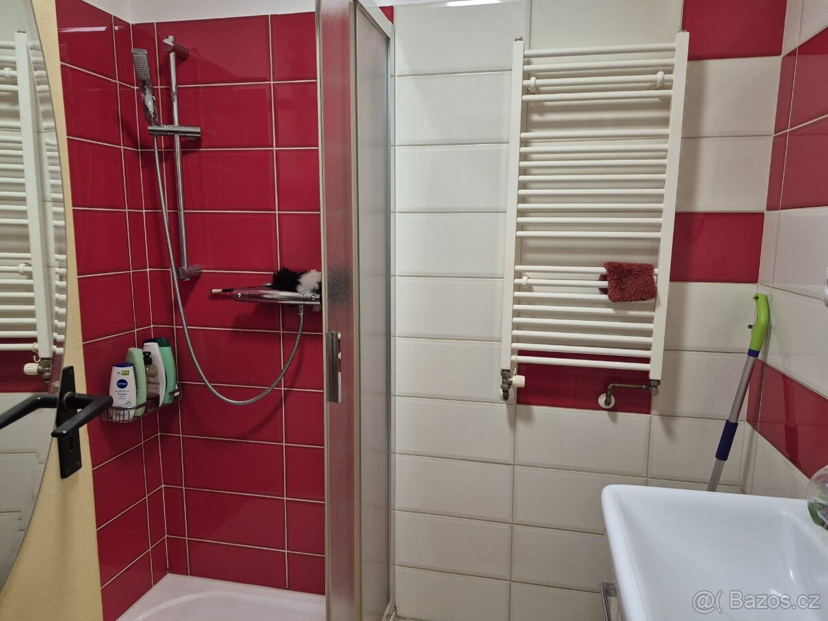 Prodej bytu 2+1 56m2 - 4