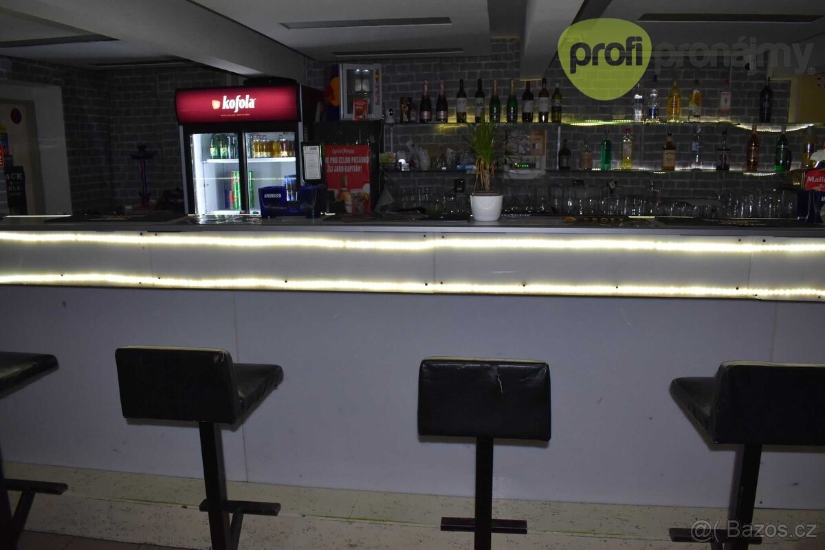 Pronájem komerčních prostor 1. PP, cca 220 m² - 4