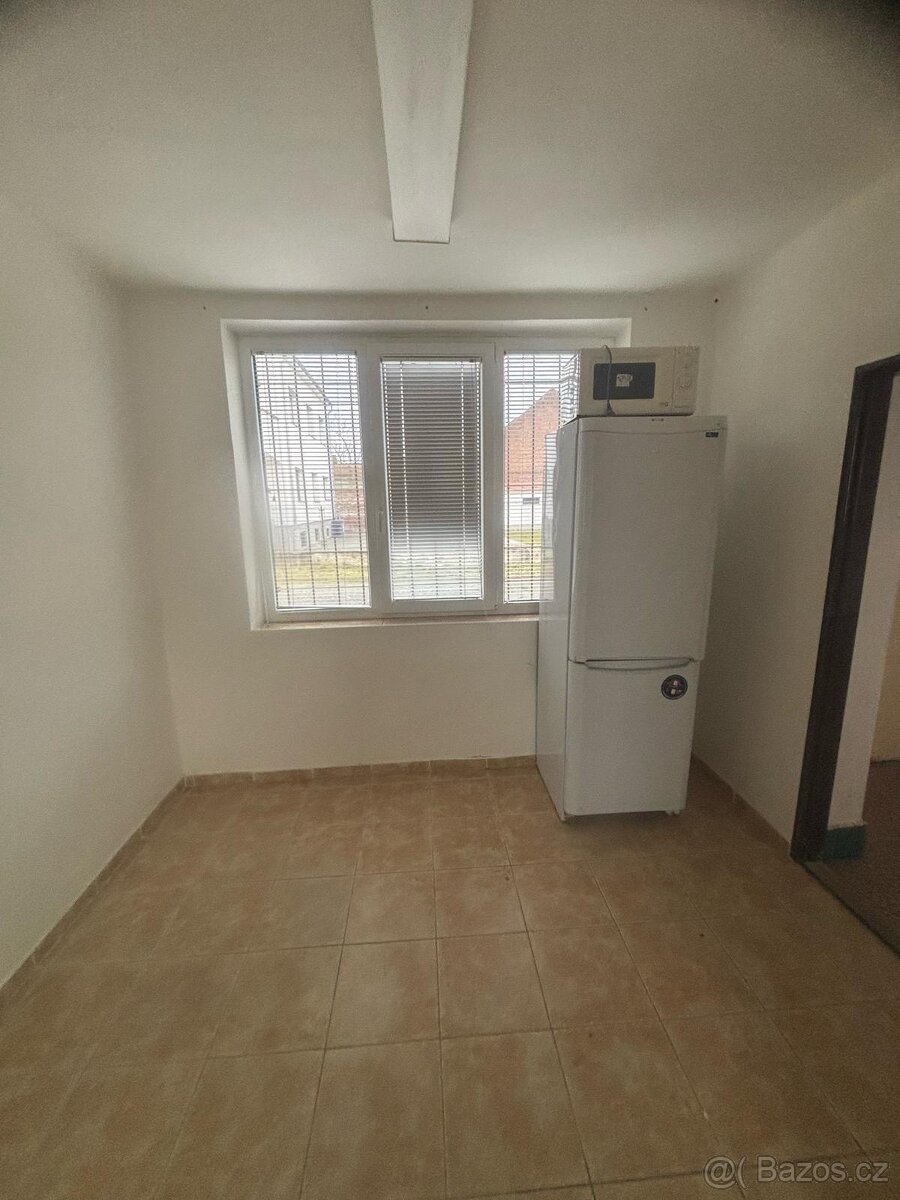 Pronájem prostoru k podnikání - 4