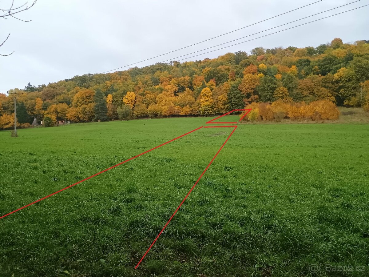 Prodej pozemků 8710 m2 - Ochoz u Brna - 4