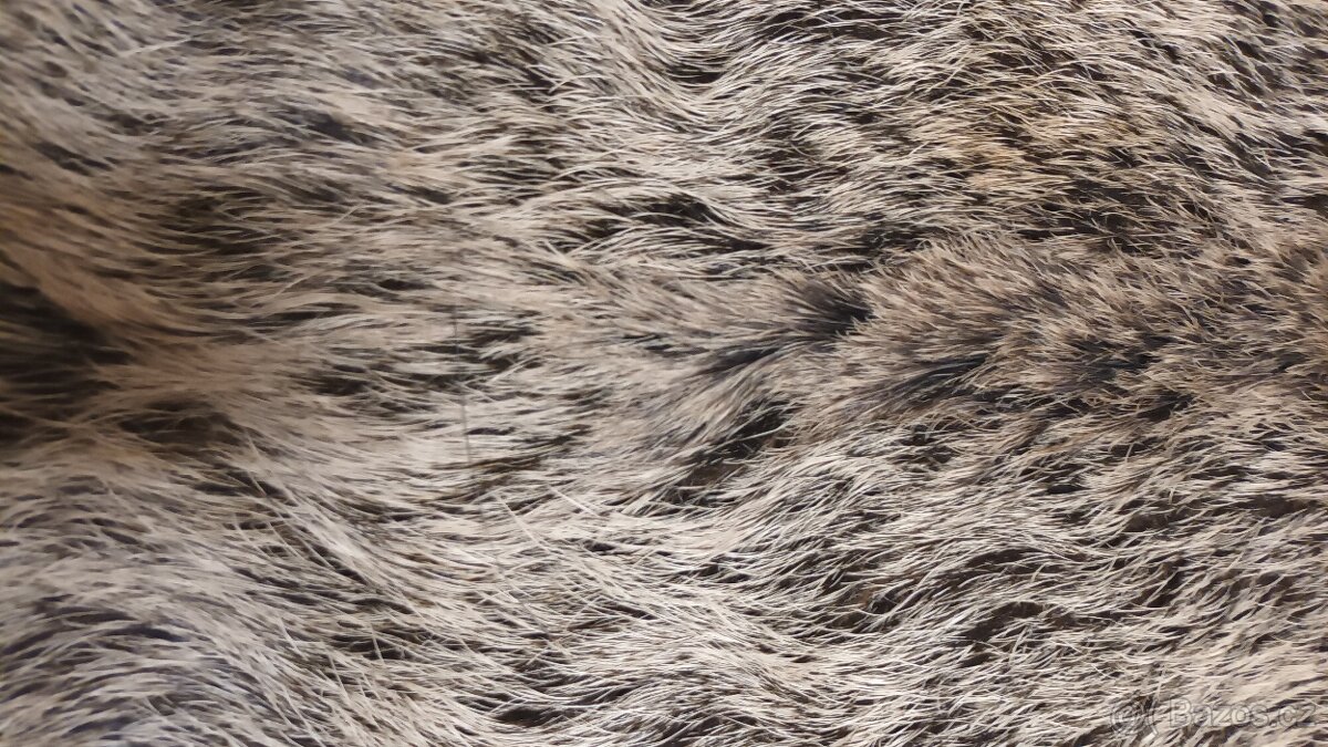 Kůže z divočáka - 4