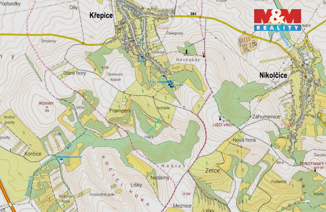Prodej lesa a vinice, 553 m², Křepice u Hustopečí - 4