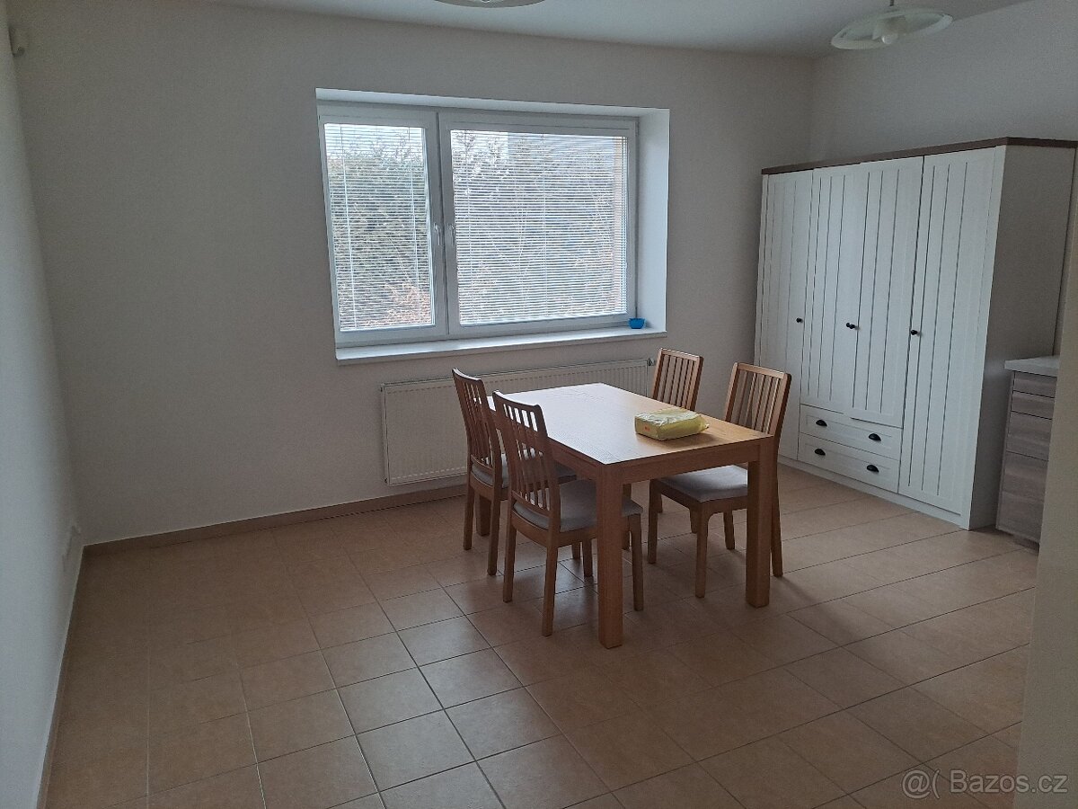 Byt 2+1 pronájem - 4