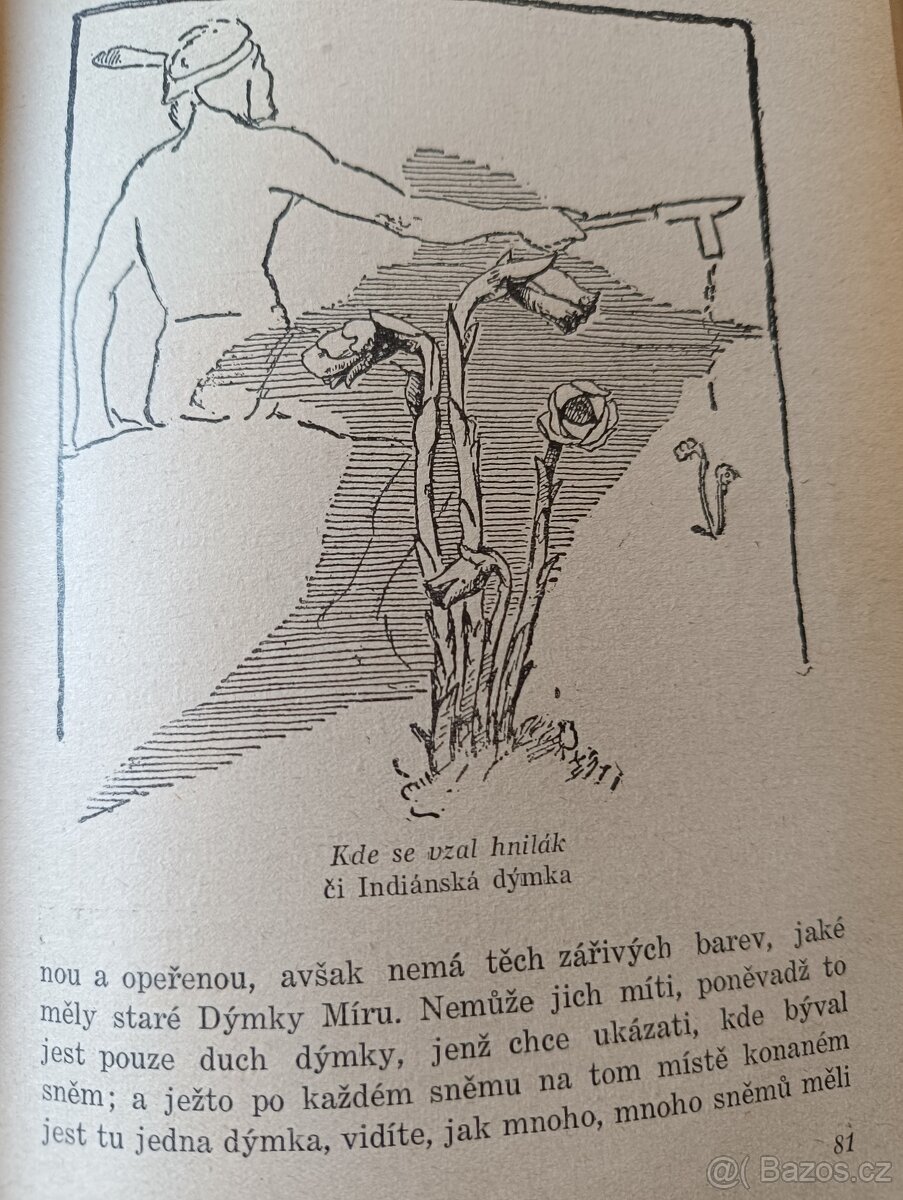 Z LESNÍ ŘÍŚE - 4