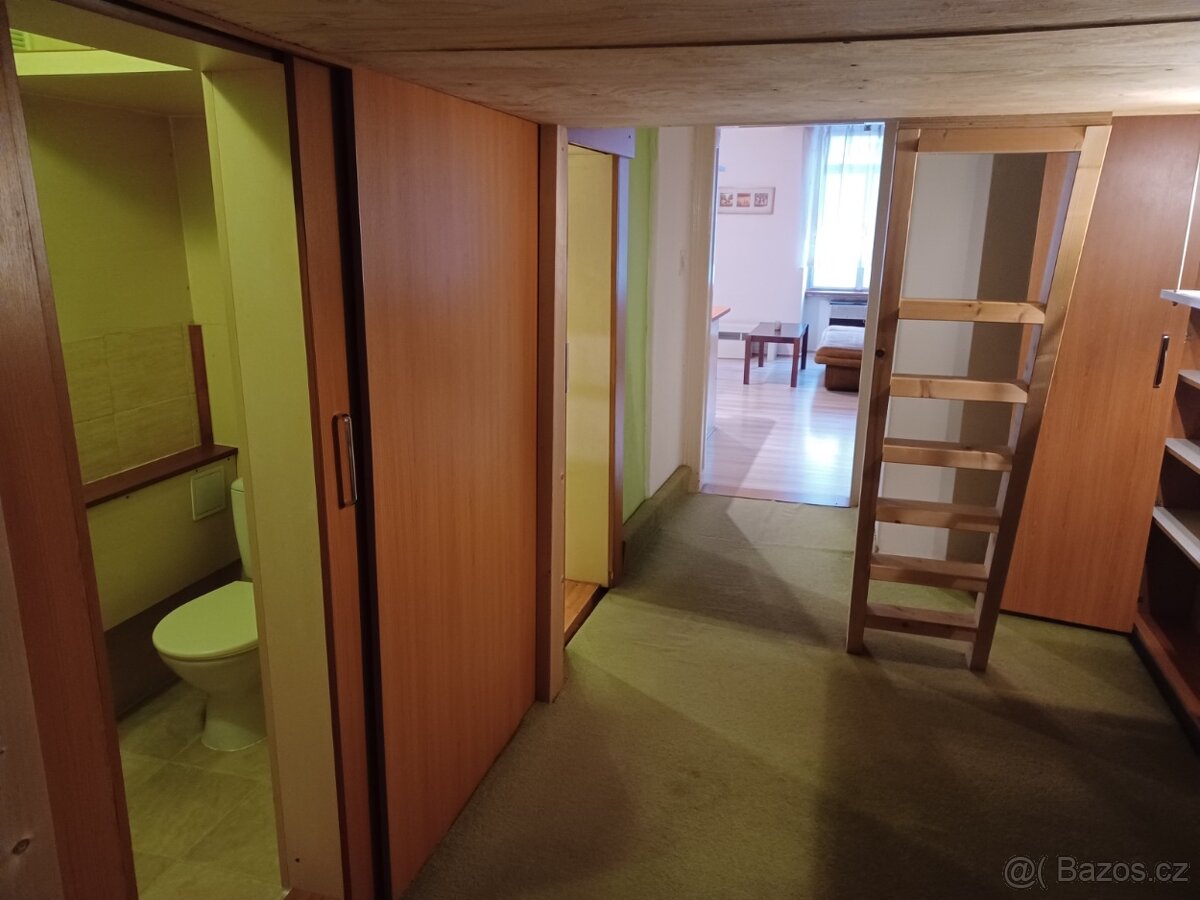 Pronajmu 2+kk 40m2 v centrum Brna- Veveří. - 4