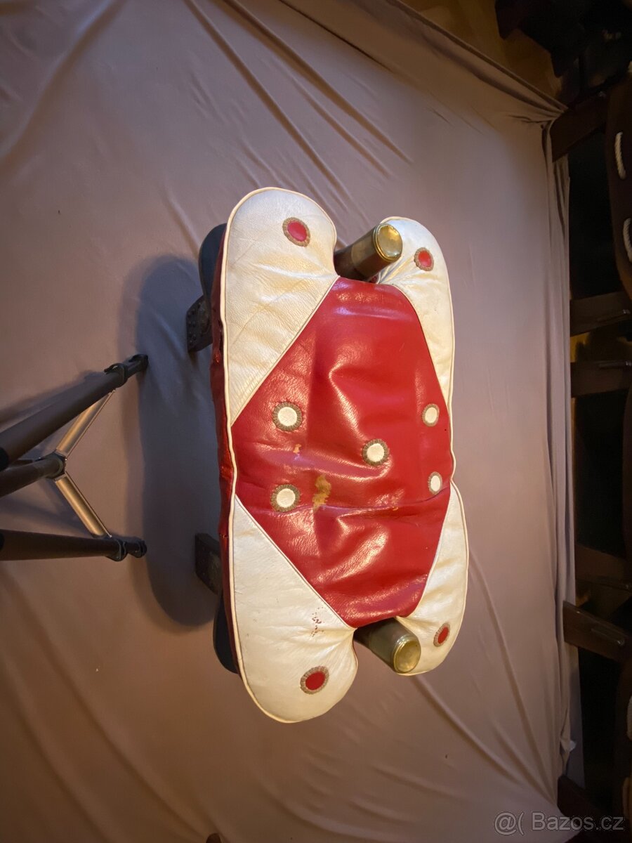 Starožitnosti (Knihy,obrazy,nádobí,Africké věci) - 4