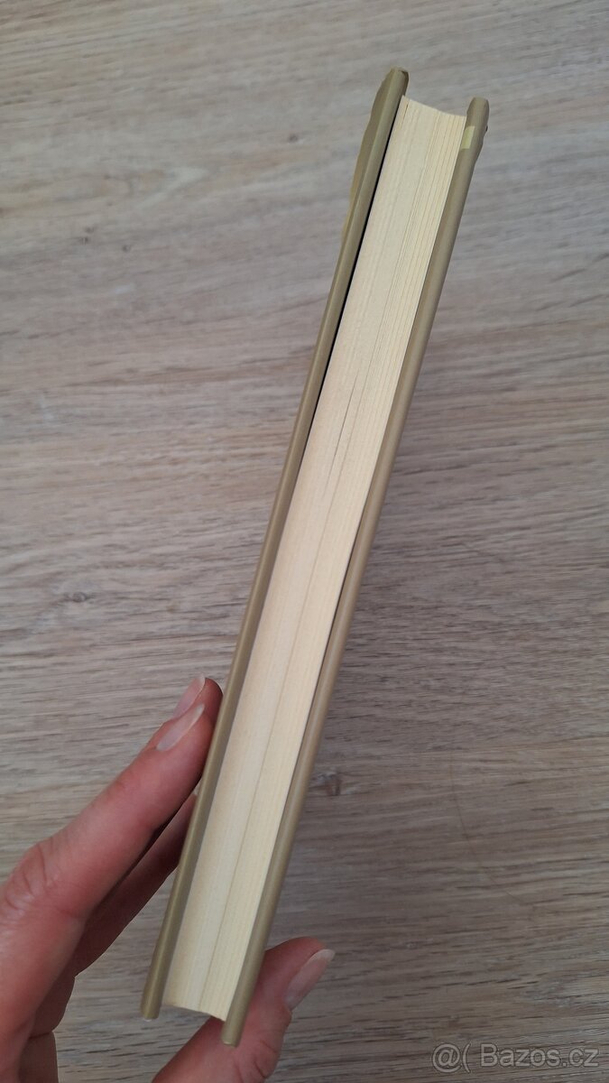 Zapomenuté případy Sherlocka Holmese - 4