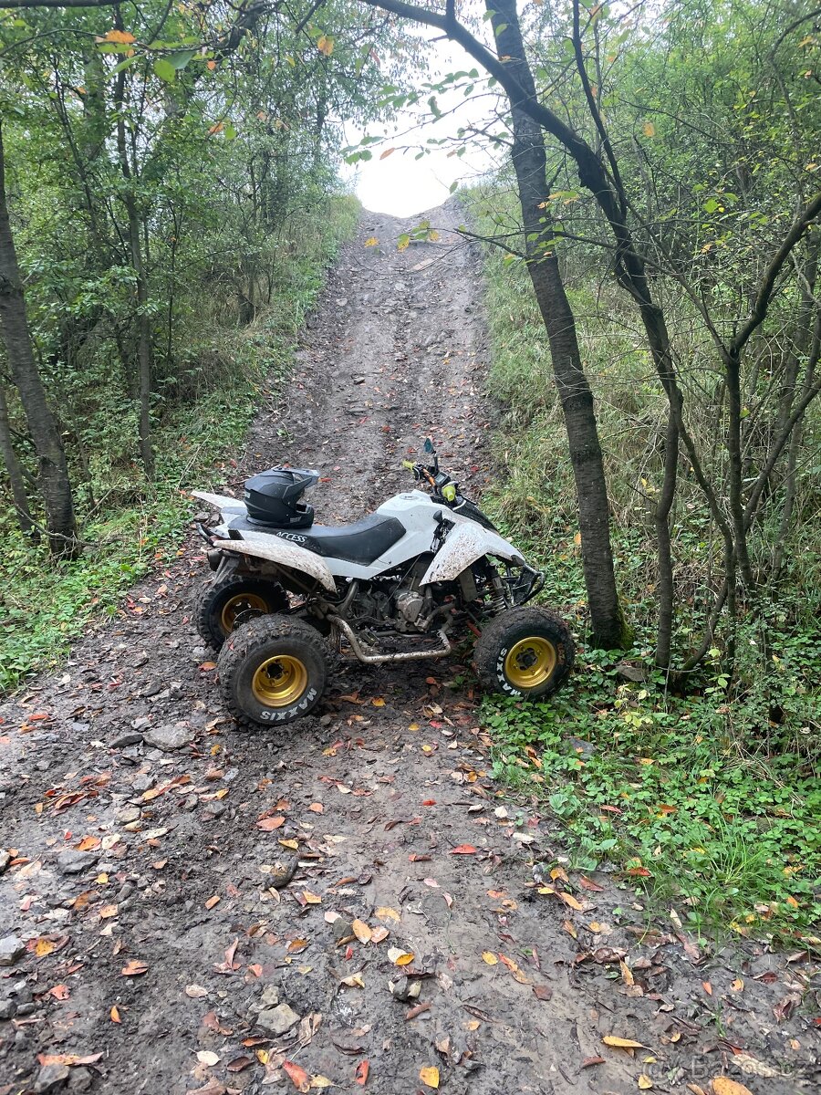 Access tomahawk 300