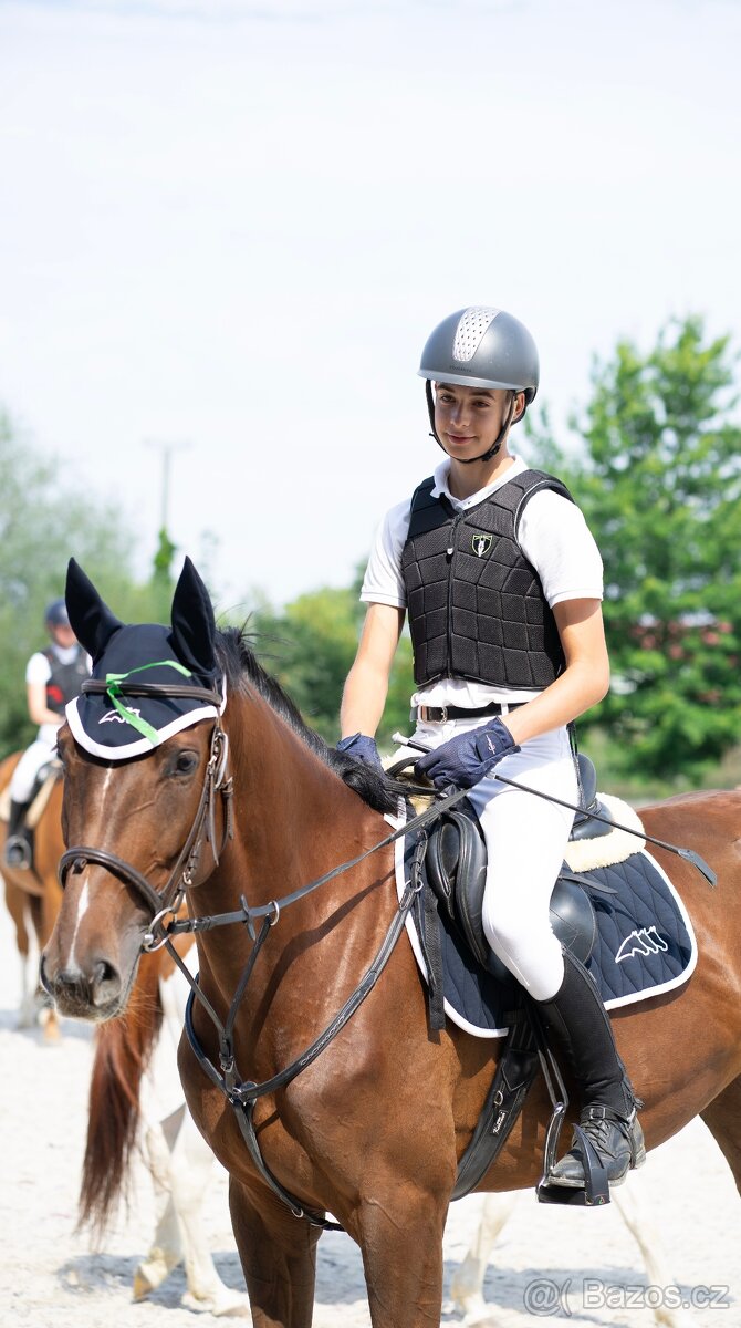 4 letá kobyla po locardo/lordanos - 4