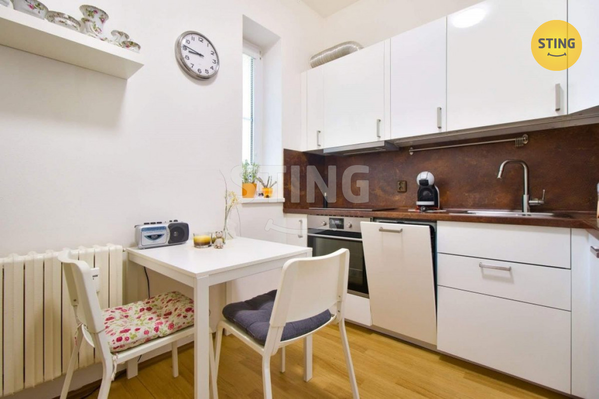 pronájem bytu 1+1 s předzahrádkou, 134004 - 4