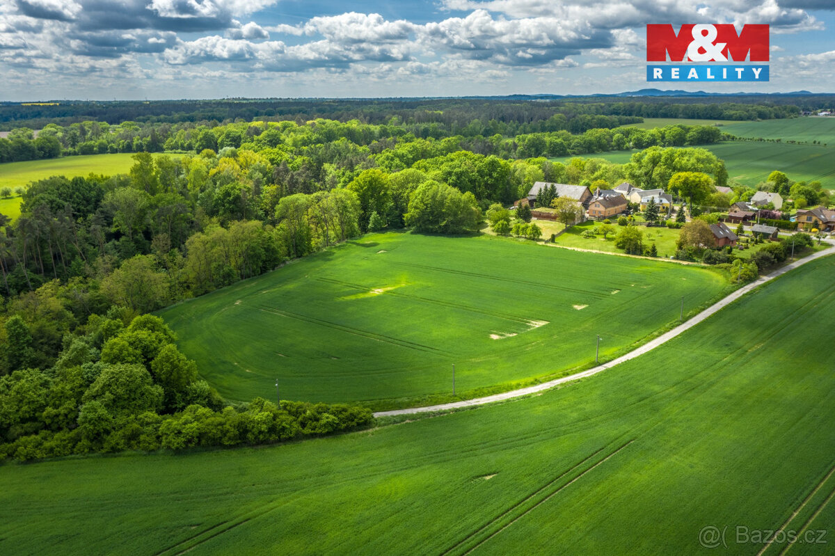 Prodej komerčního pozemku, 10160 m², Bakov nad Jizerou - 4