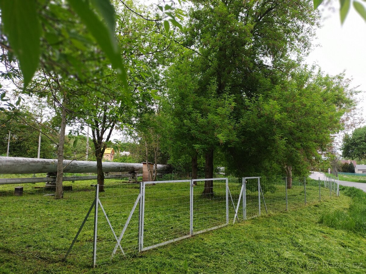 Zahrada, zahrádka - 4