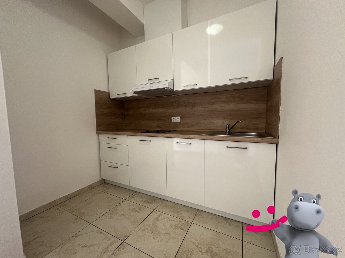 Pronájem bytu 1+kk 33 m², Otvovice, ev.č. 58695 - 4