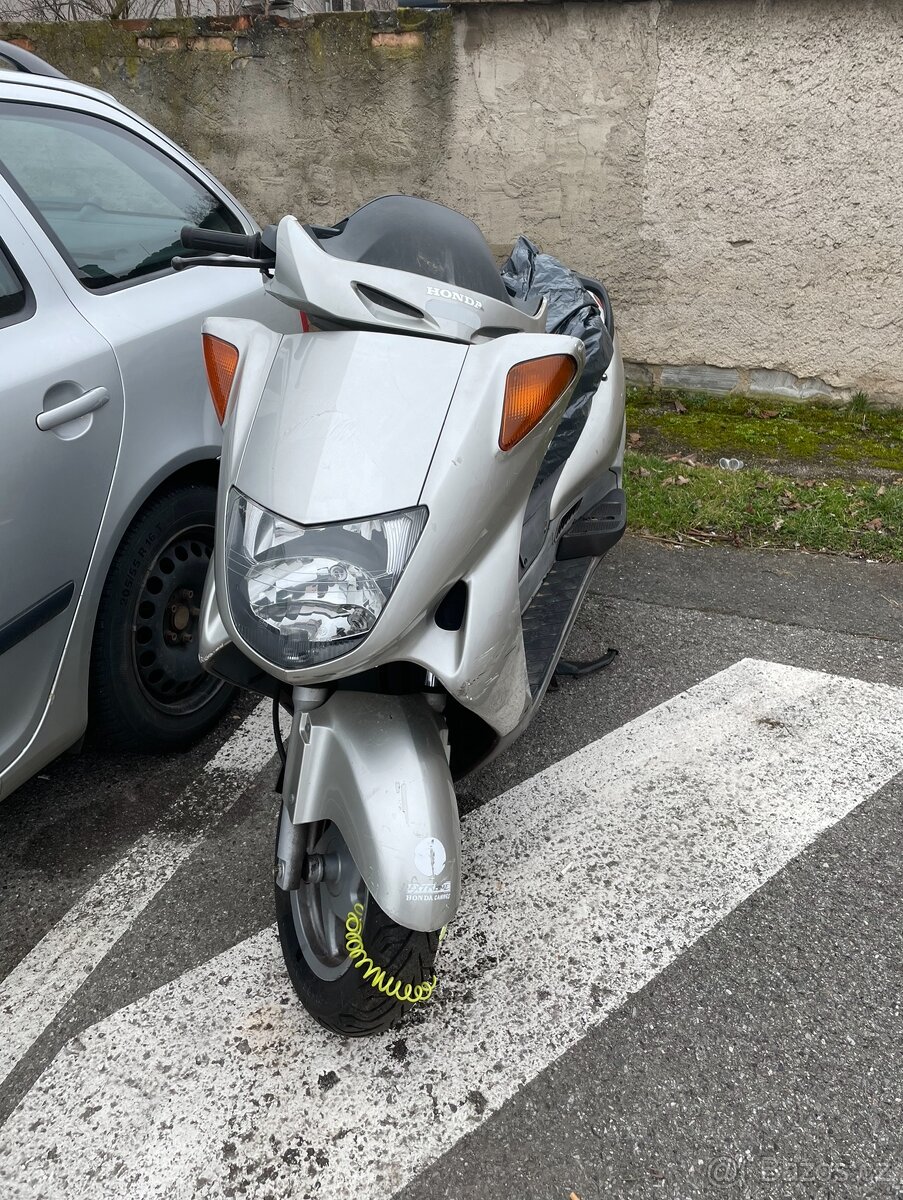 Dily Honda Pantheon 125cc 2t. - 4