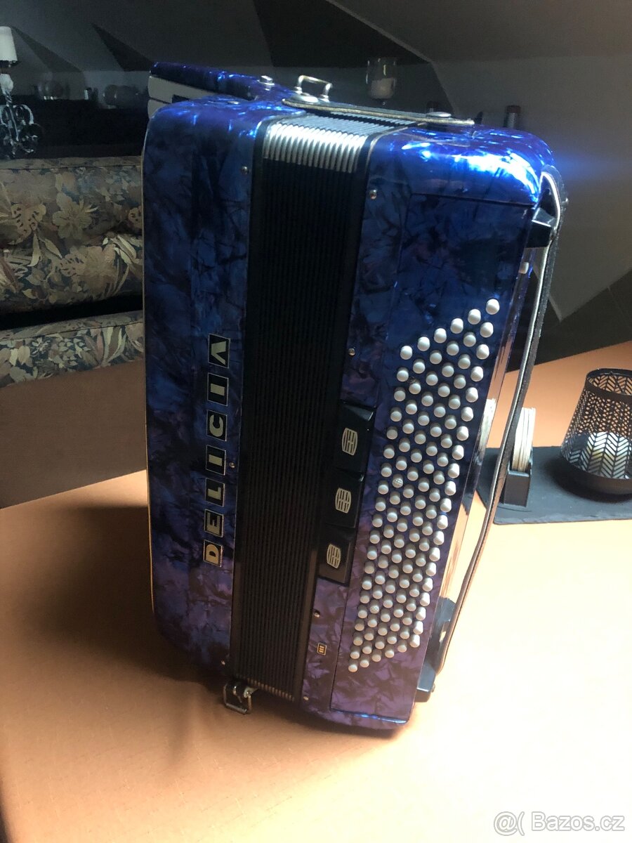 Harmonika Delicia (Accordion) - 4