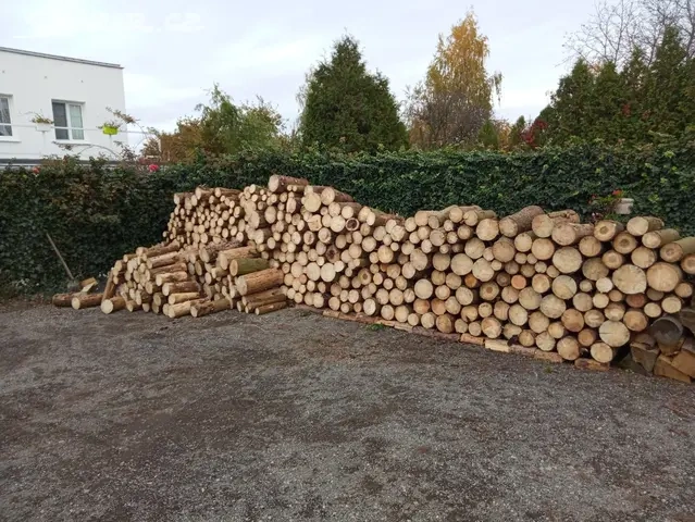 Palivové dřevo Praha - 4