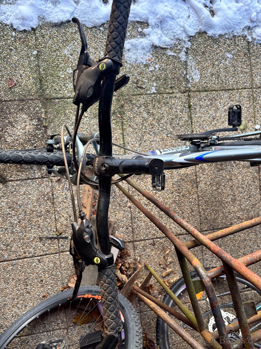 Kolo Giant Rincon - 4