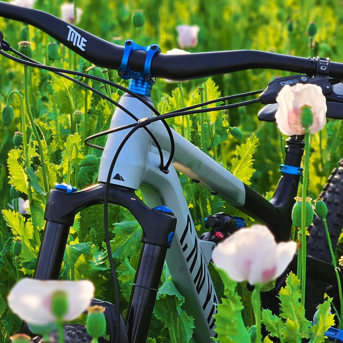 Canynon Spectral 27,5 - 4