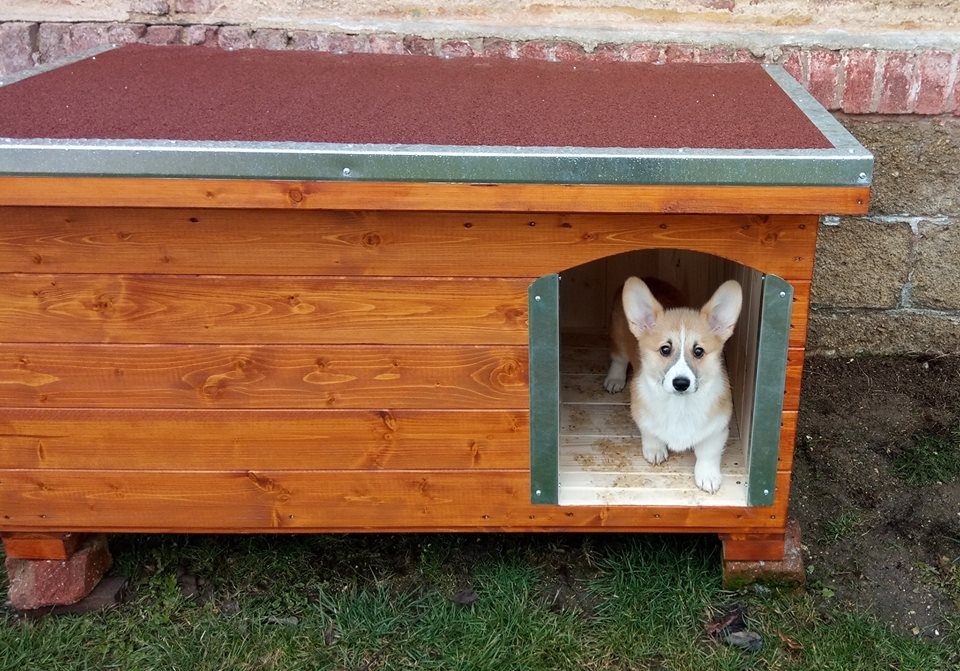 psí bouda, boudy pro psy - 4