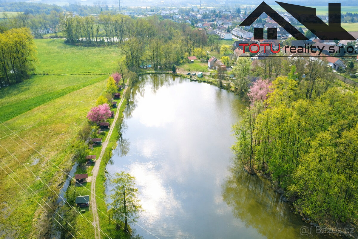 Prodej, rybník Velký Přelov, 44 772 m2, Černožice - 4