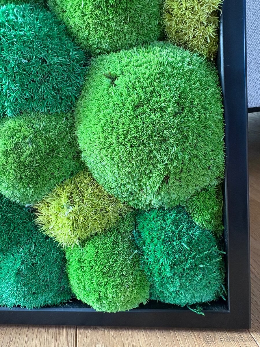 Mechový obraz 56x56 cm - 4