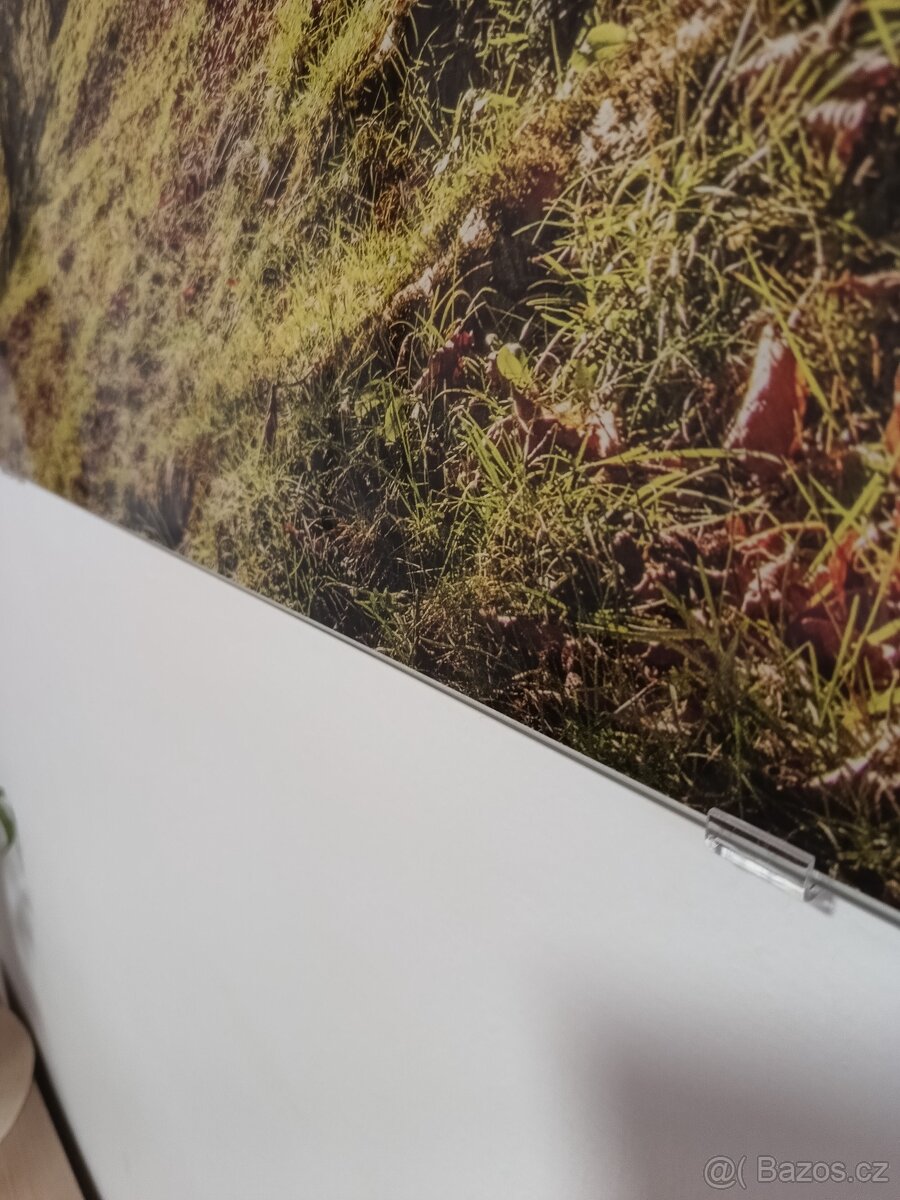 Fotoobraz ve skle 120x80 cm - 4