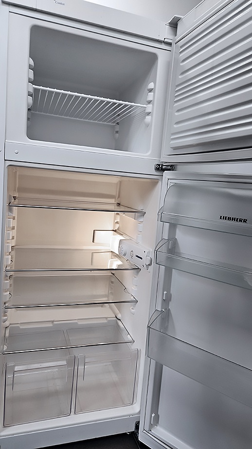 Lednice s mrazákem Goddess, Liebherr - 4