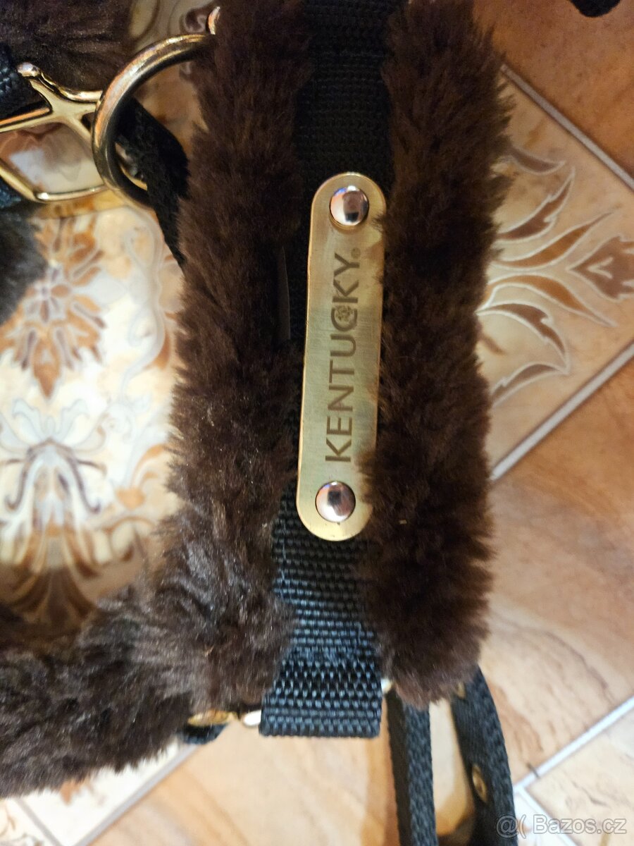 Ohlávka Kentucky full - 4
