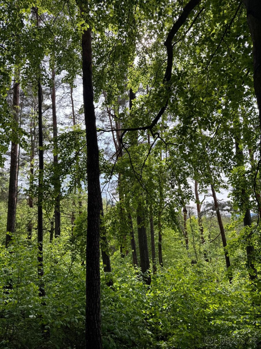 Prodám pozemky v katastrálním území Český Dub - 4