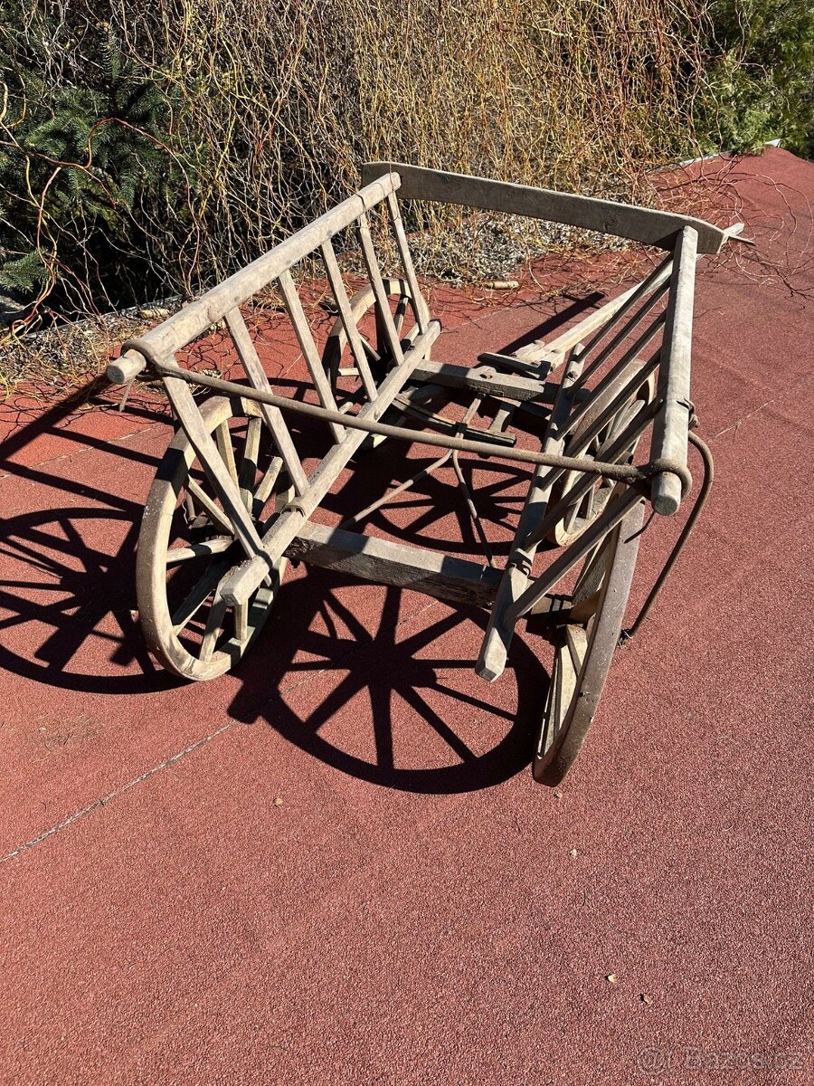 Starý žebřiňák - 4