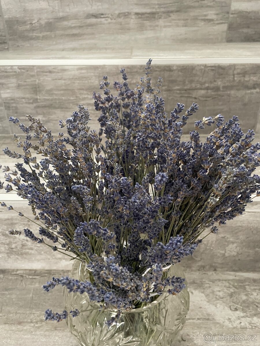 Sušená levandule svazky - 4