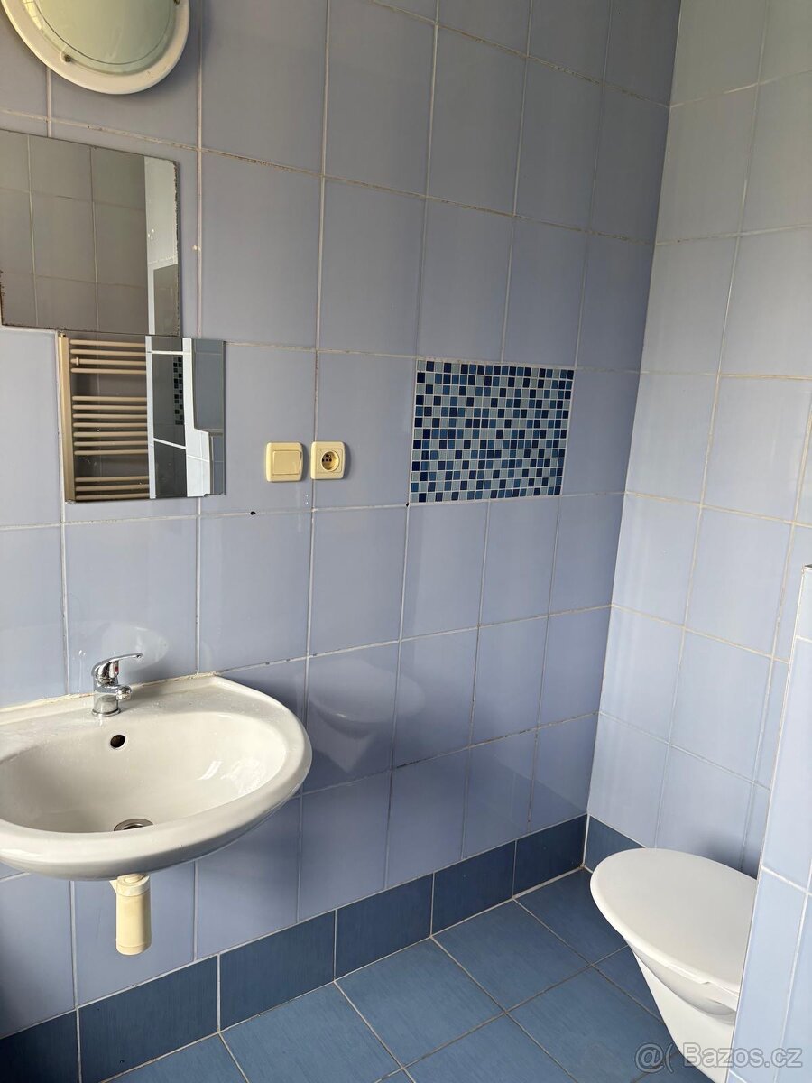 Pronájem slunného bytu 2+kk - 4