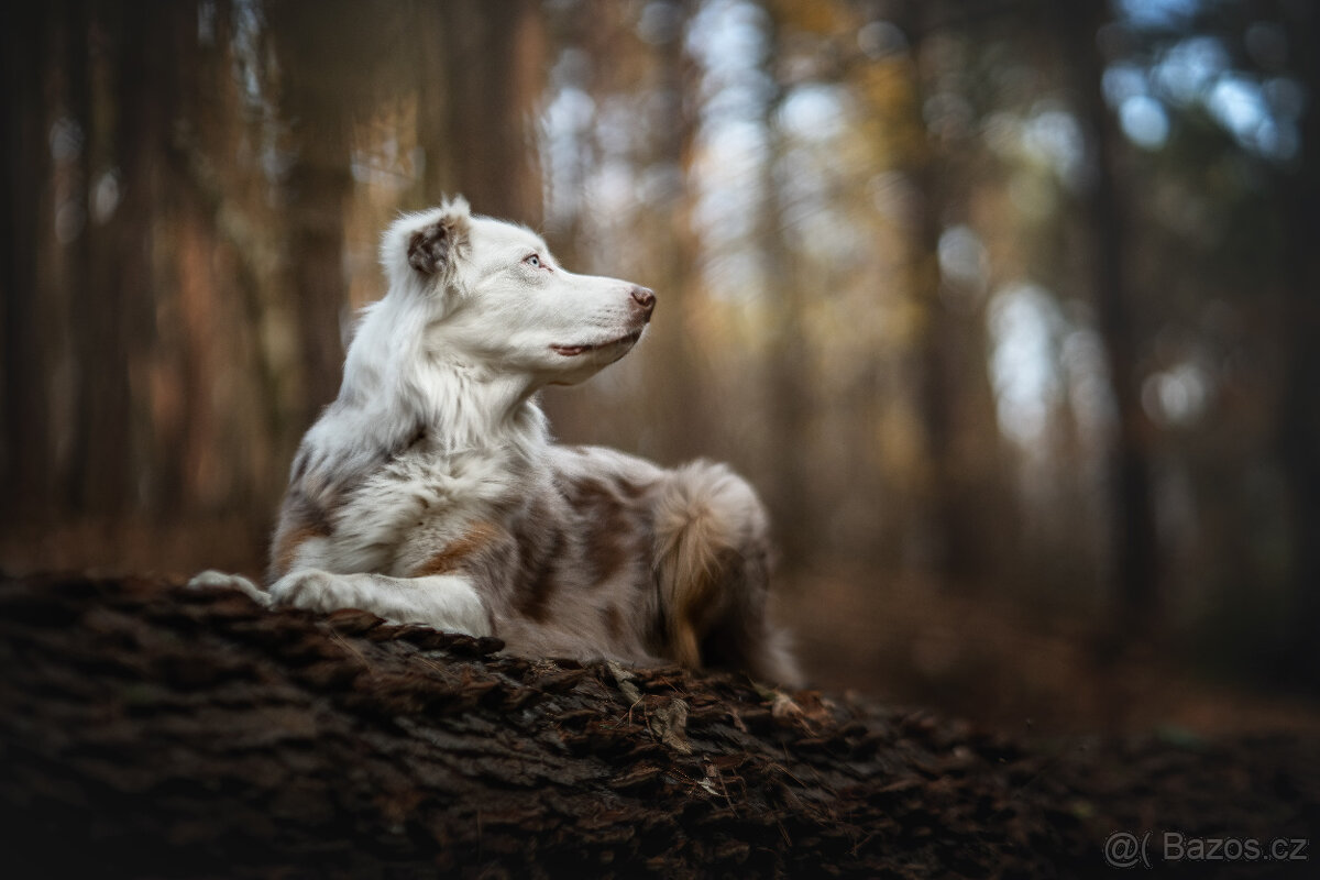 Meopta Meostigmat 92/1,7 Sony E a další - 4