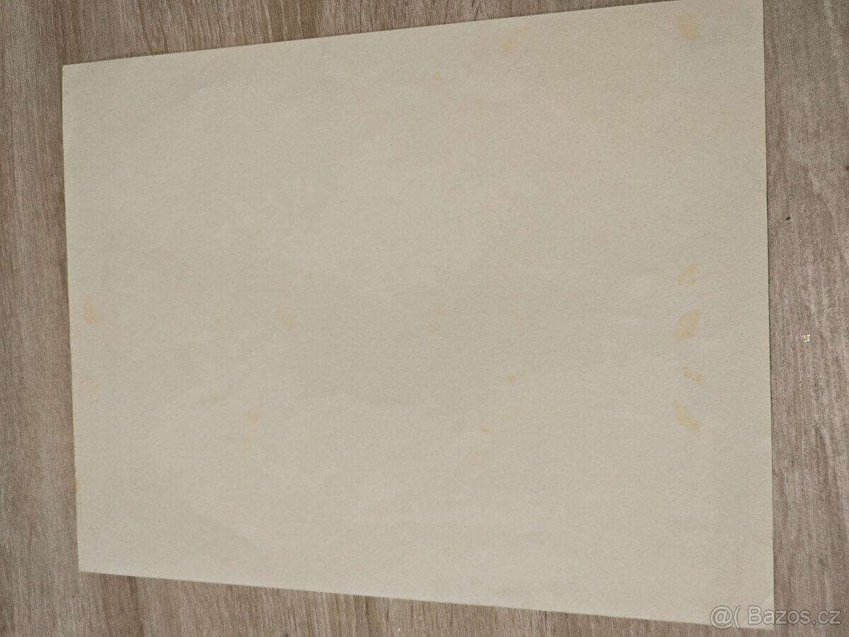 Hitlerjugend dokument na ženu - 4