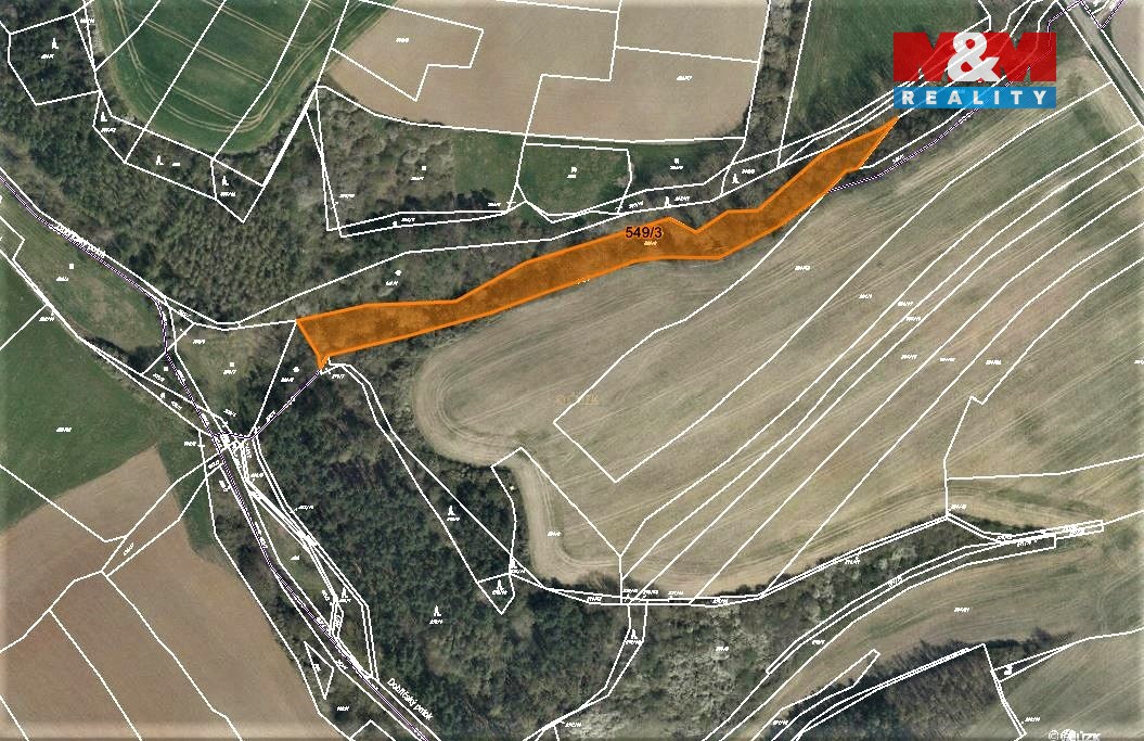 Prodej lesa, 4593 m², Dobříč - 4