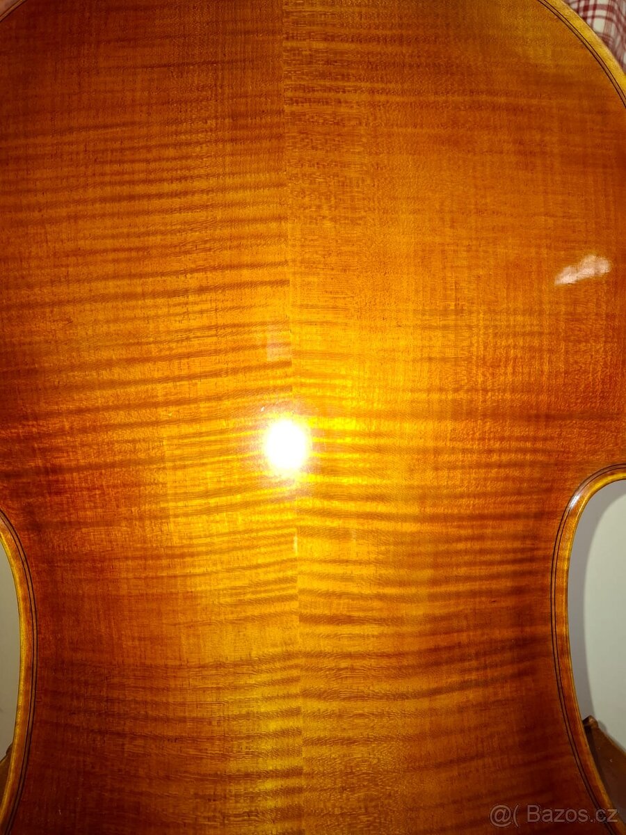 Violoncello - Jana páclová - 4