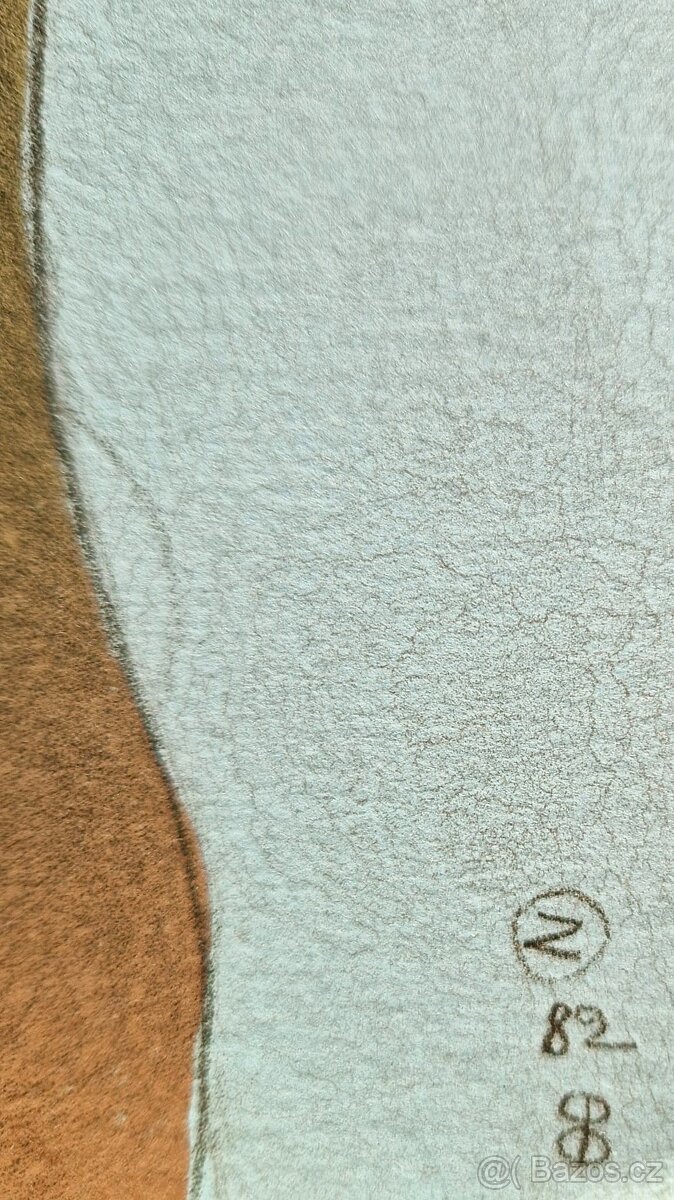 Bruno Bruni - (podpísaná litografia) ,(figurálny realizmus) - 4