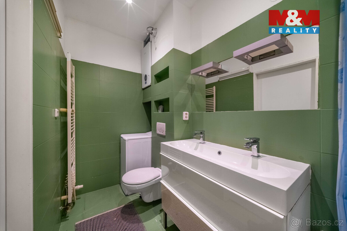 Pronájem bytu 1+kk, 27 m², Plzeň, ul. Vrchlického - 4