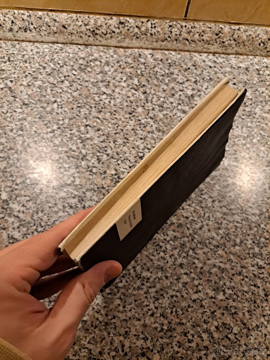 Jan Neruda - Obrázky - 4