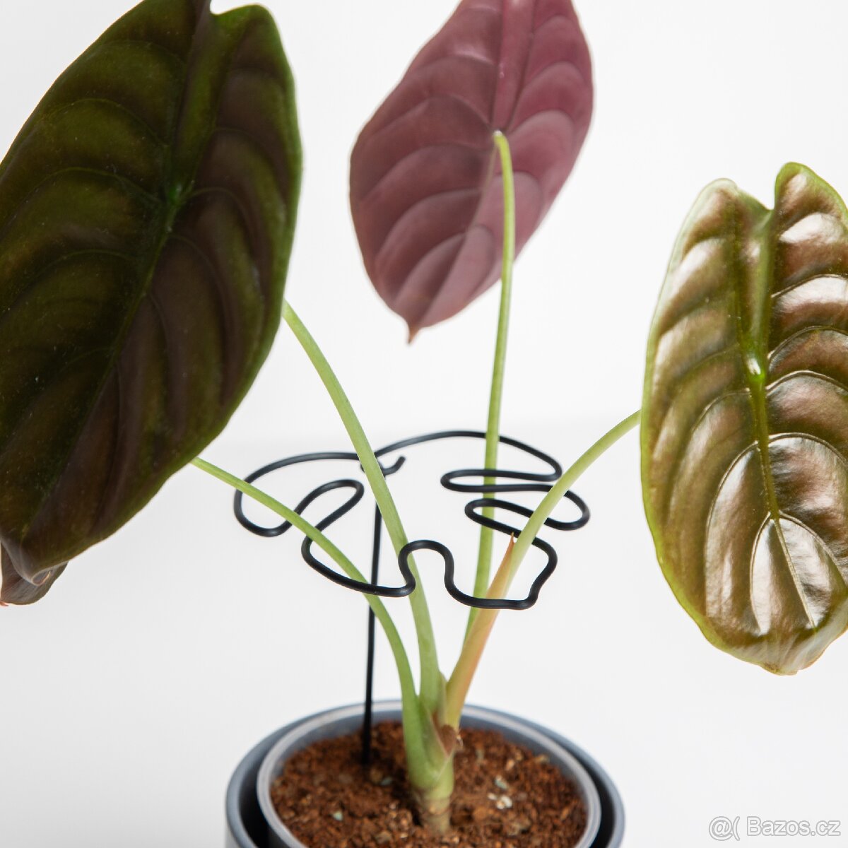 Opora pro rostliny, list monastery, černá - 4