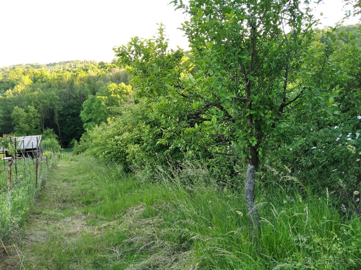 Prodám zahradu, možnost stavby, 2216 m2 Kudlovice-dolina - 4