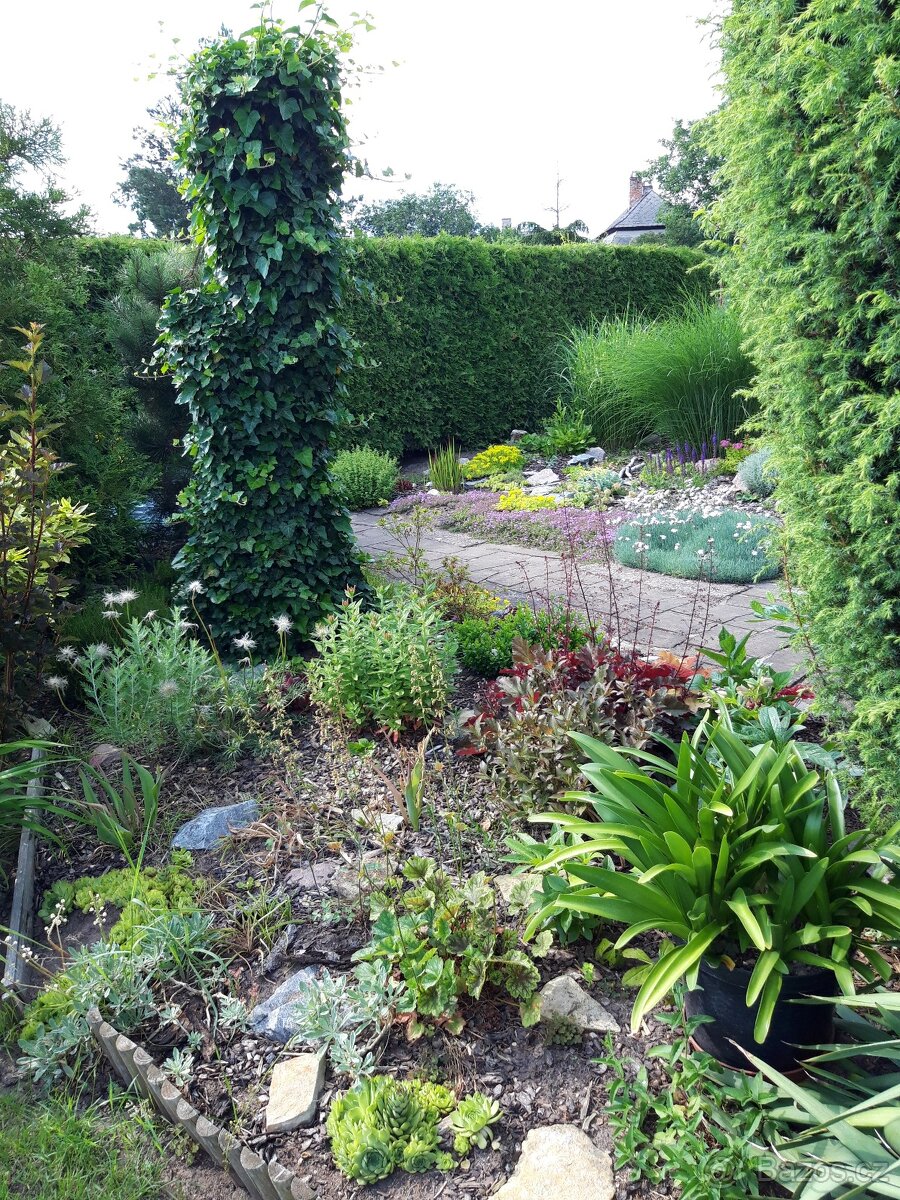 Pronájem zahrady v zahrádkářské kolonii - 4