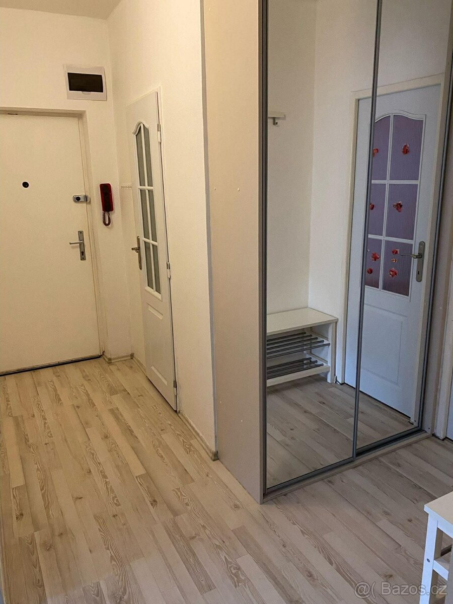 Pronájem bytu Střekov 2+1 - 4
