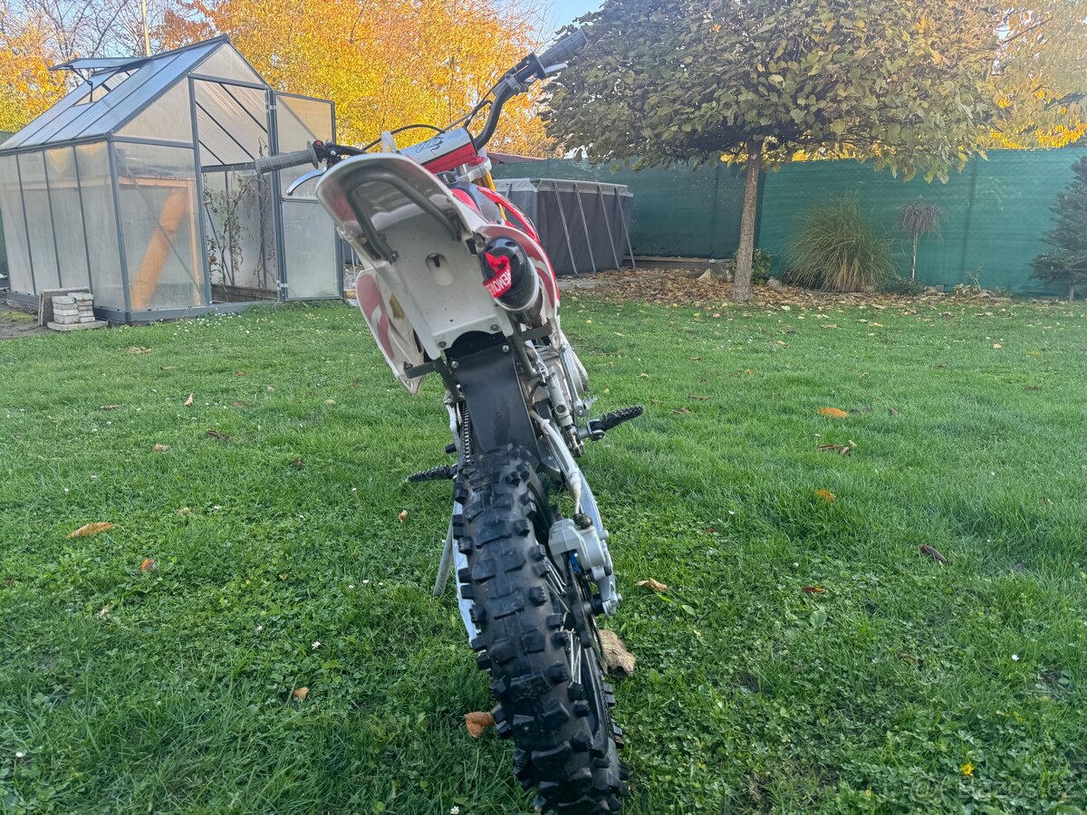Pitbike WPB 140ccm race