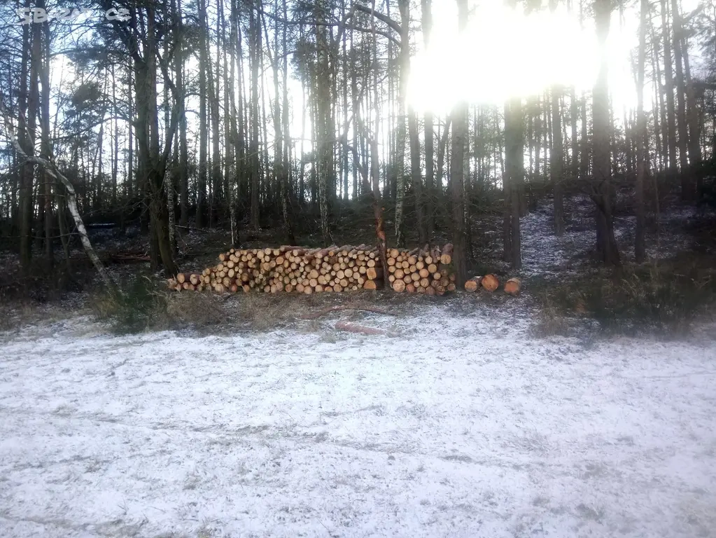 Palivové dřevo Příbram - 4