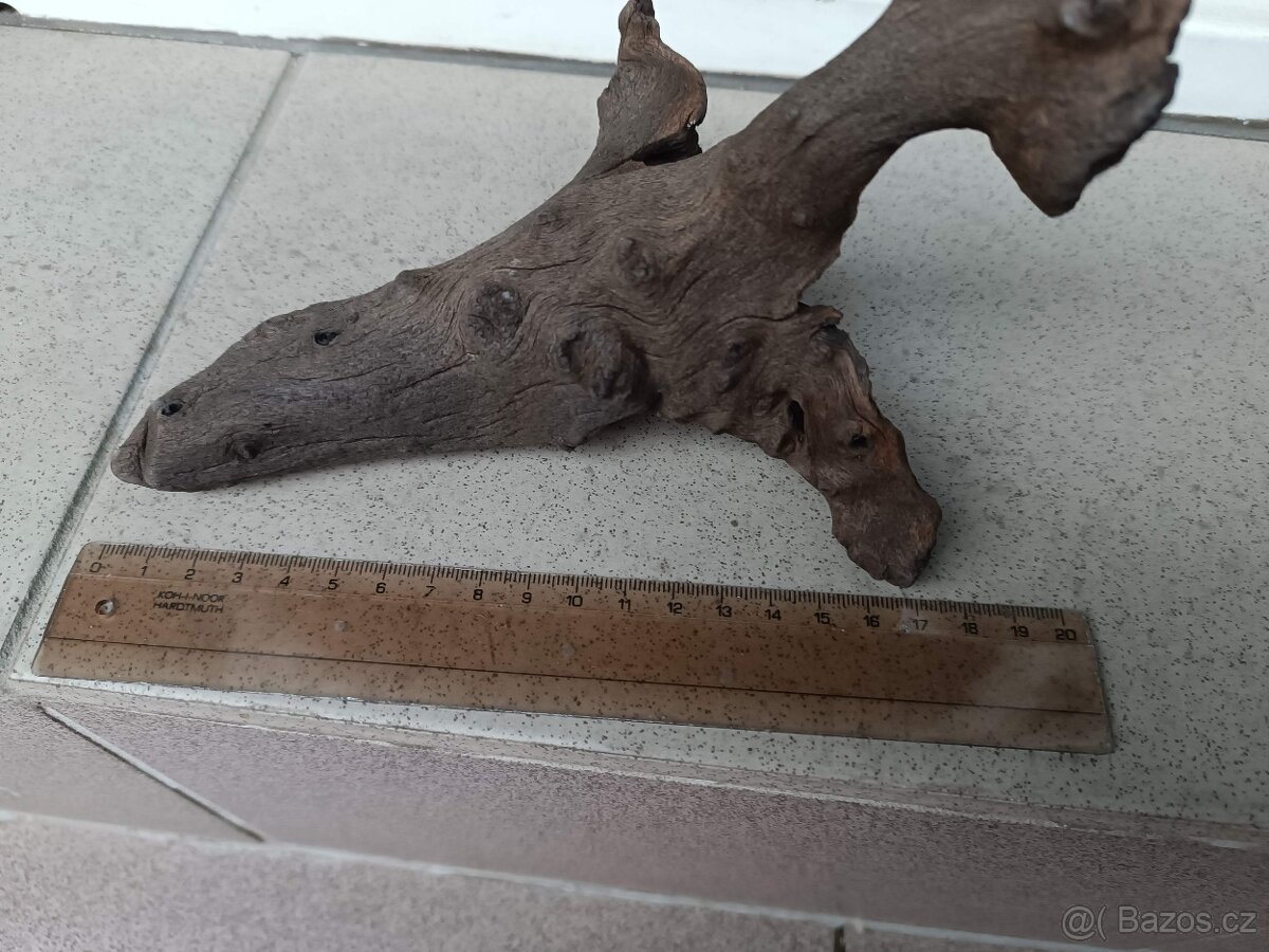 akvarijní kořen - 4