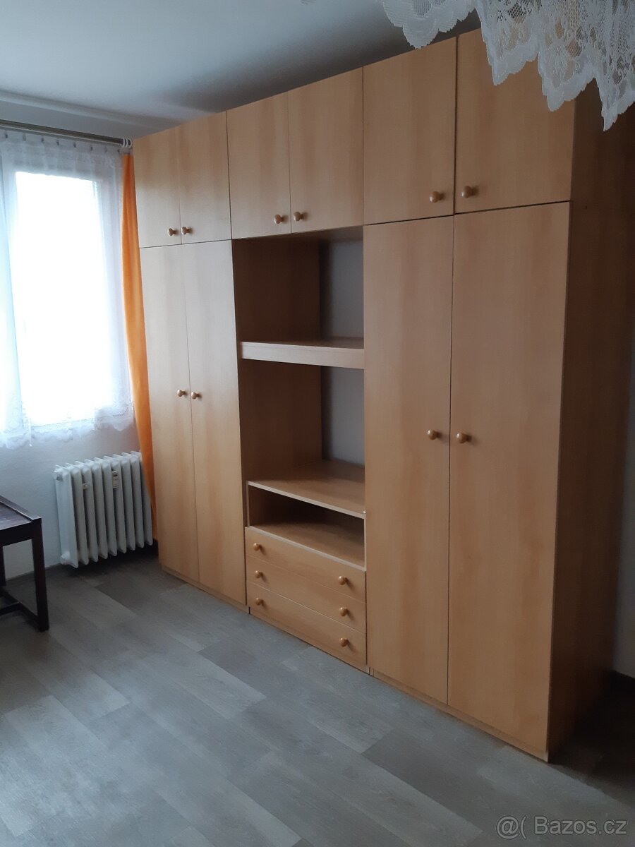 Pronájem bytu 1+kk - 4